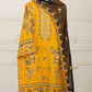 Gul naaz Embroidered - 3pc